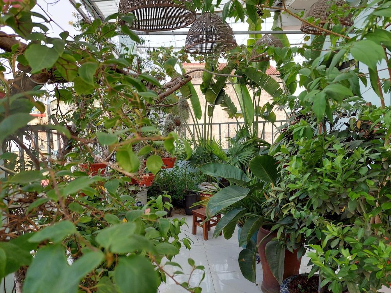 Alleyhomestay 2 Hanoi Eksteriør billede