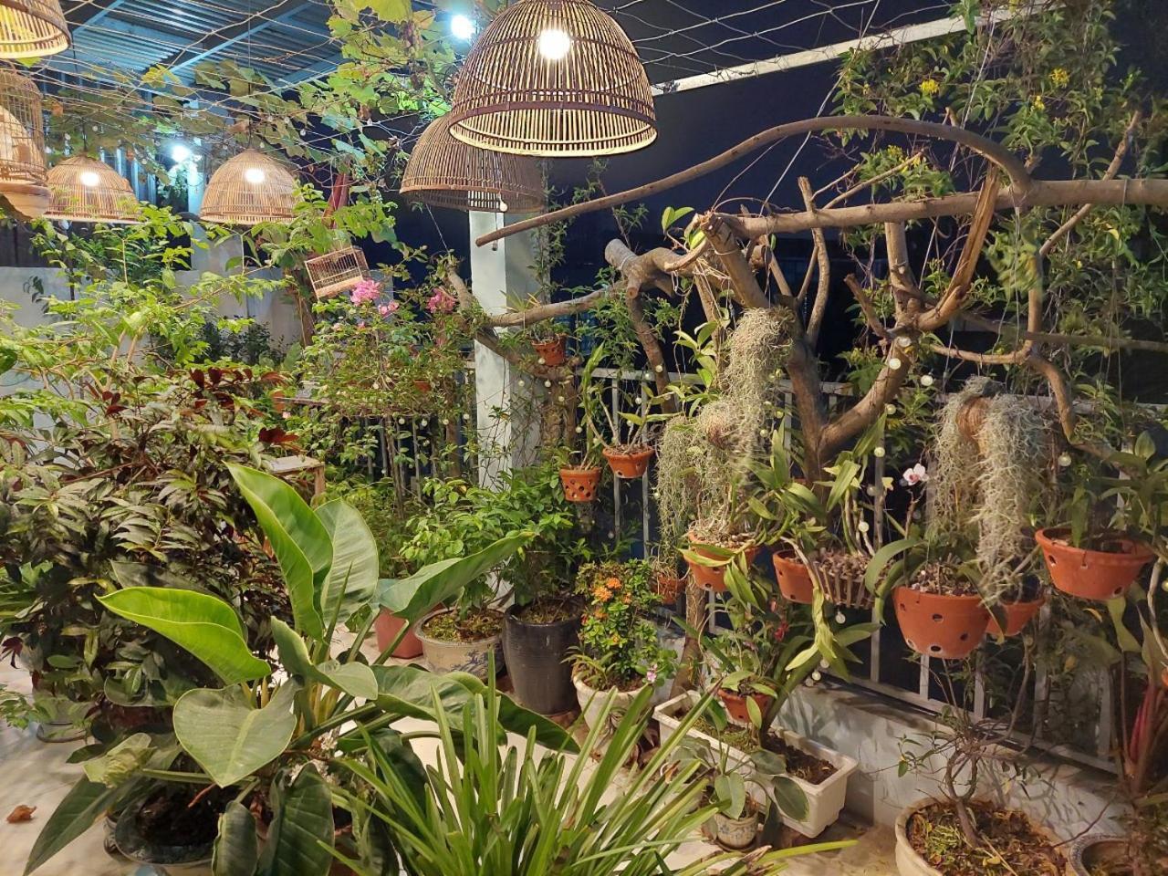 Alleyhomestay 2 Hanoi Eksteriør billede